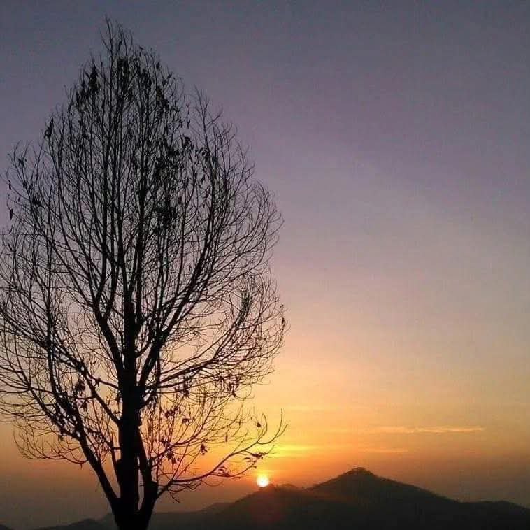 Kodaikanal Honeymoon Package 2026 — Scenic View Tamil Nadu Hill Station
