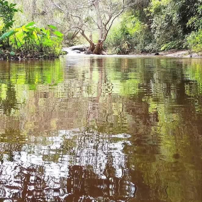 Kodaikanal Lake Misty Morning — Romantic Honeymoon Couples Tamil Nadu