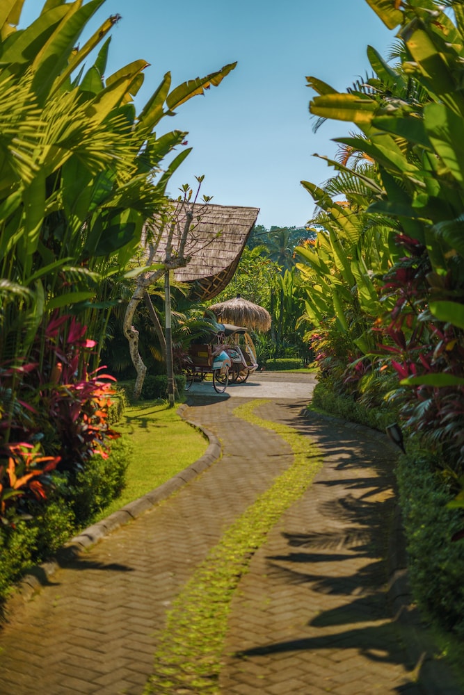 Thailand Honeymoon Guide — Bangkok and Phuket
