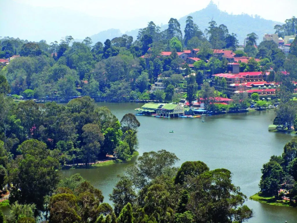 Kodaikanal Pine Forest Honeymoon Couple — Holiday Tour Maker