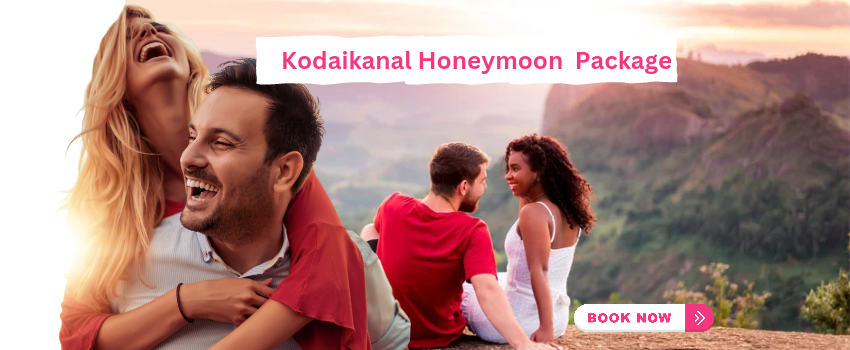 Honeymoon Packages