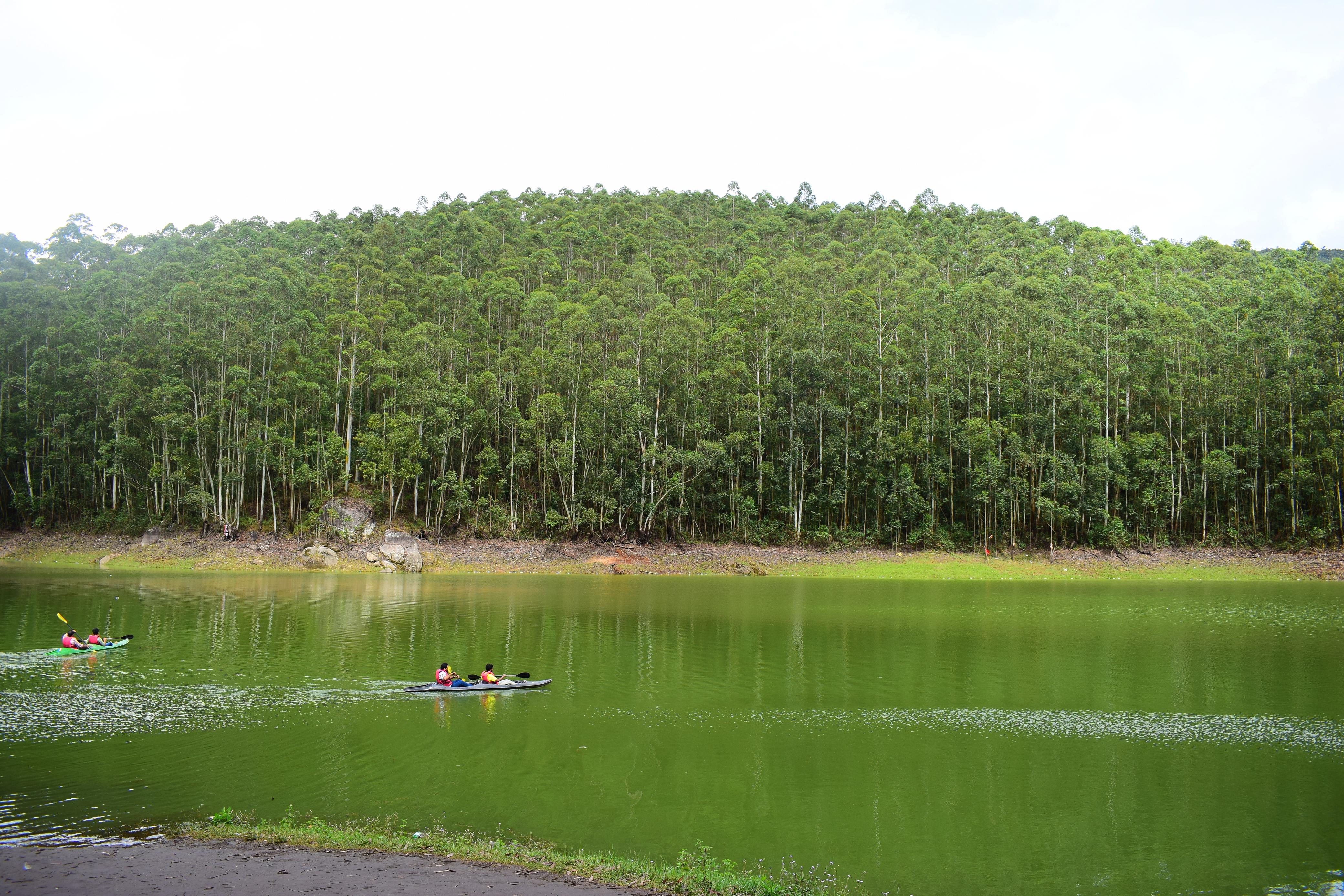 Munnar Honeymoon Candlelight Dinner & Flower Bed Decor — Holiday Tour Maker