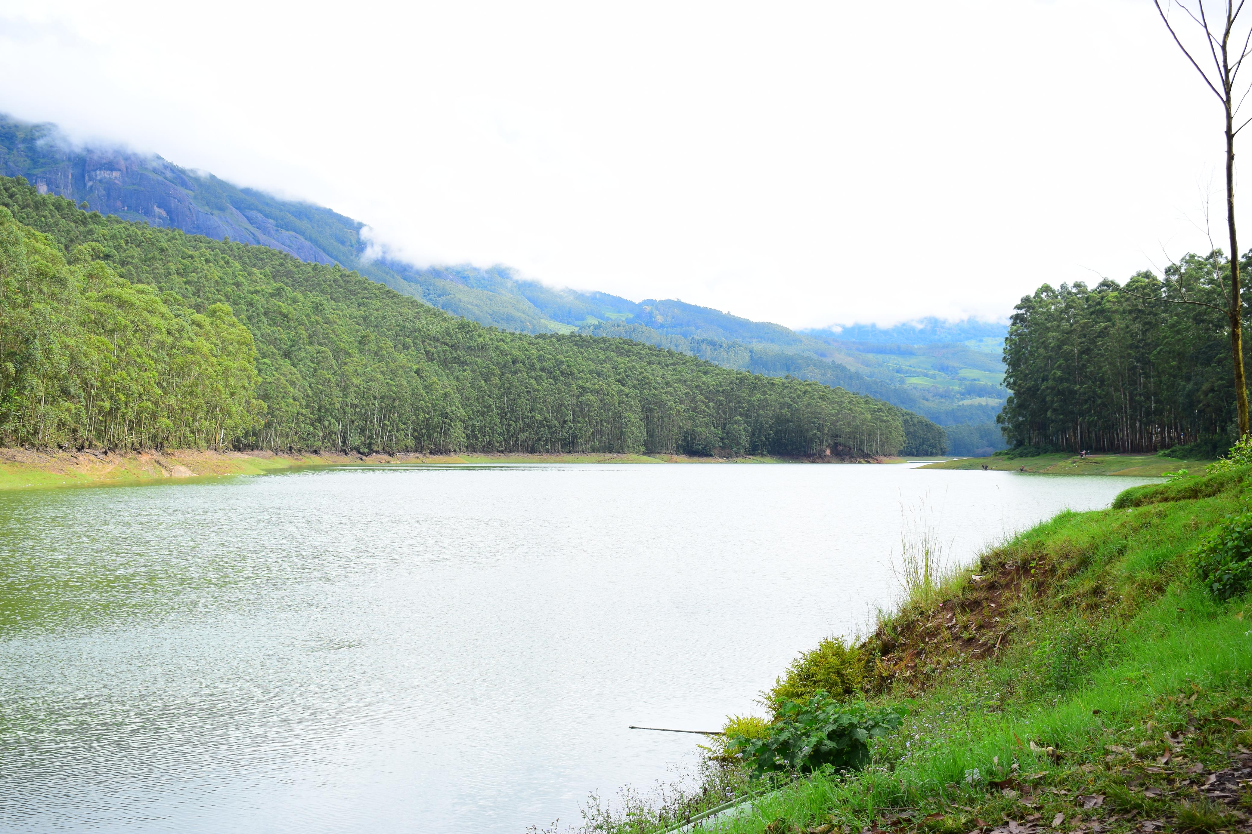 Munnar