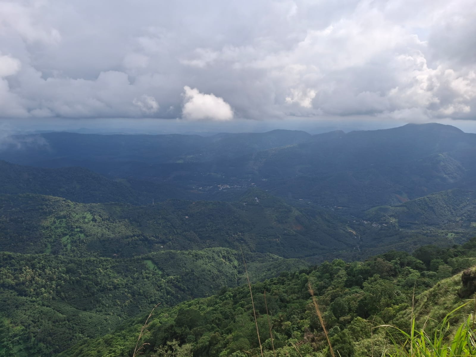 Munnar Tea Gardens Romantic Honeymoon — Holiday Tour Maker