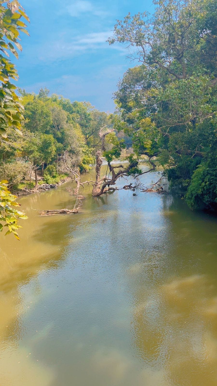 Mysore Coorg Tour Abbey Falls — Holiday Tour Maker