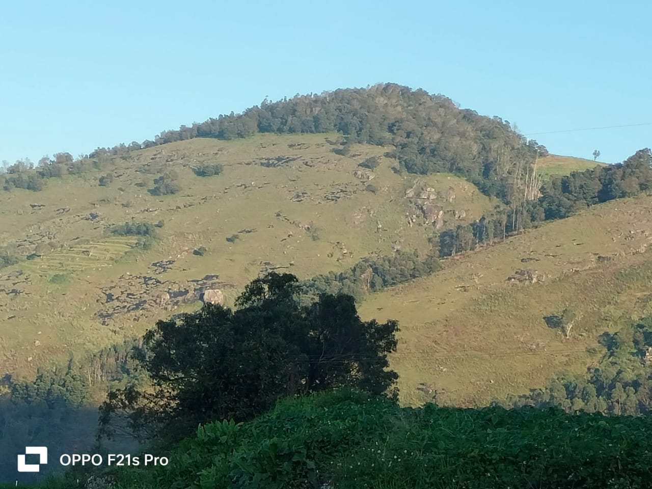 Ooty Botanical Garden Tour — Holiday Tour Maker