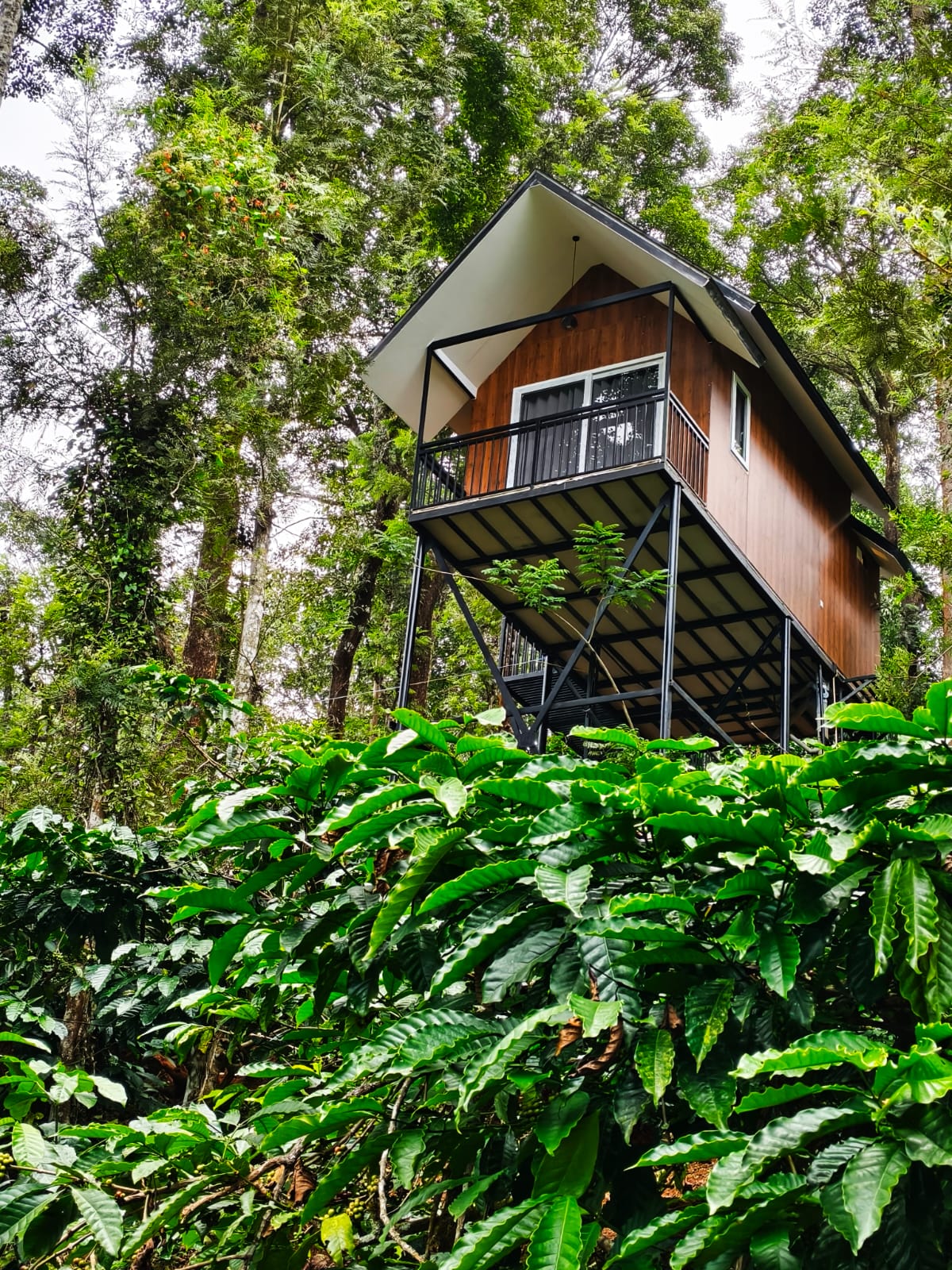 Ooty Romantic Honeymoon Package Couple — Holiday Tour Maker