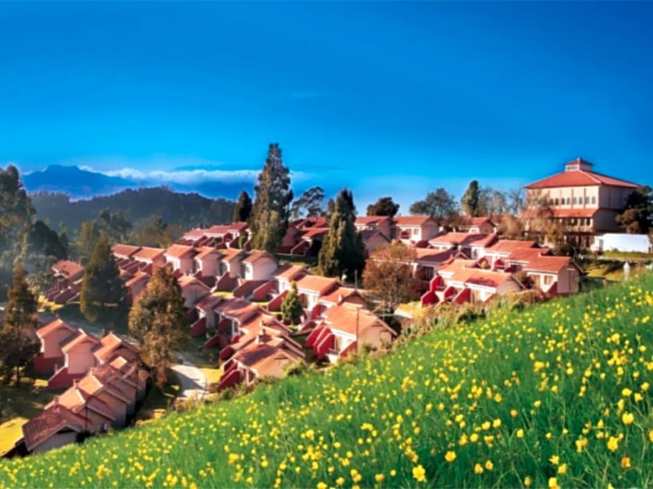 Ooty Romantic Honeymoon Package 2 Nights 3 Days — Holiday Tour Maker