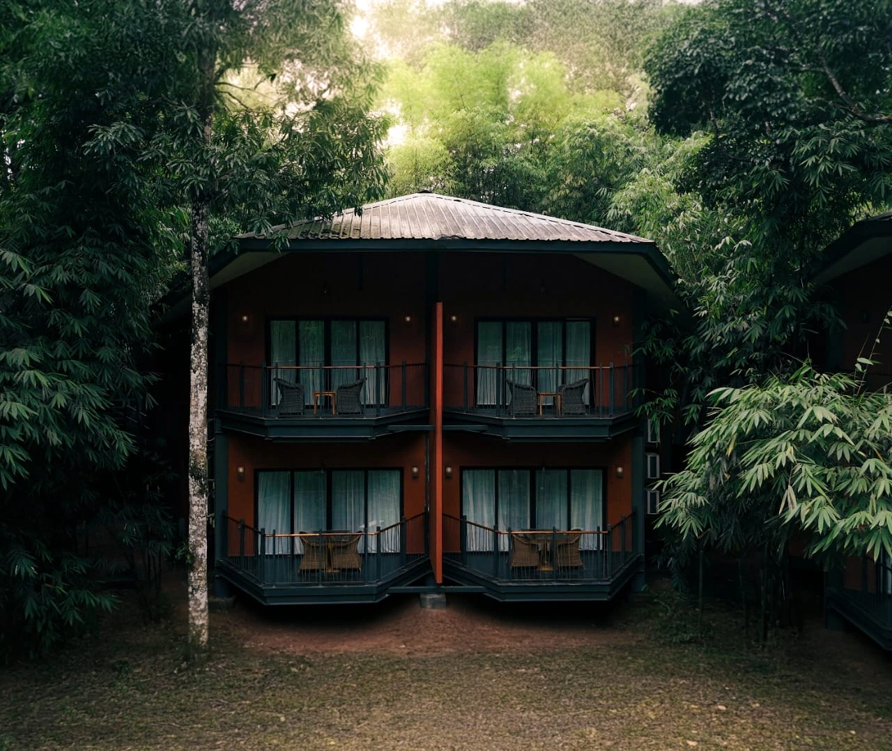 Wayanad Honeymoon Package Couple — Holiday Tour Maker