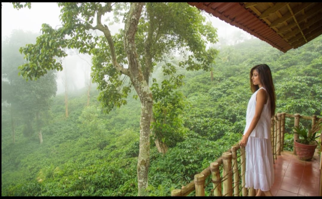 Wayanad Honeymoon Package 2 Nights 3 Days — Holiday Tour Maker